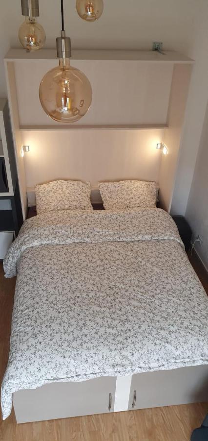 Studio Lumineux Au Centre Ville Баньєр-де-Бігорр Екстер'єр фото